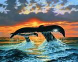 11330 NPI2059 Deep Water Nomads  